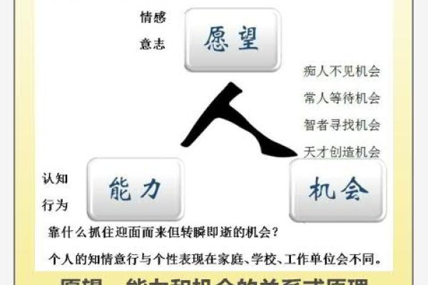 可为与有为之别，潜力与成果的交织-红迪亚