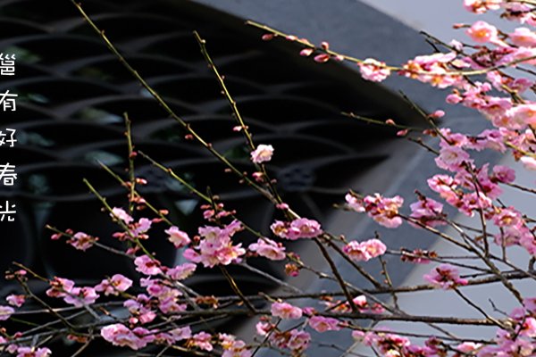 立春时间精准安排-红迪亚