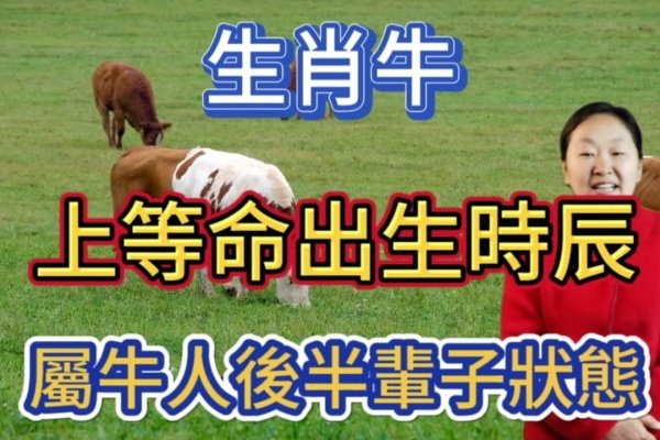 落地生根生肖牛-红迪亚