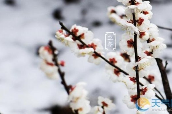 立冬与立春等节气含义及冬季开始标志解读标题建议，，立冬、立春解析，季节更替的标志及其深层寓意-红迪亚