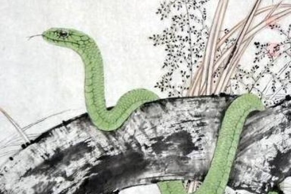 林寒洞肃,谜底生肖蛇。-红迪亚