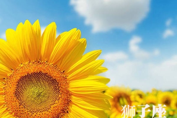 流行QQ网名精选，，旺怡宝贝，吉祥财子，语梦、花姬等寓意好运发财的二字名字，仙灵儿、萌啵啵等可爱风格的名字，一梦入浮沉、古风型头衔名称，逆风飞翔、笑傲江湖等独特个性网名，雾岛听风、星沉海雾等意境悠远的网名，只爱你先森 & 温柔少女心，幸福伴侣qq网名，场控男帝、我为王者等霸气十足的网名，能满足你的需求。-红迪亚