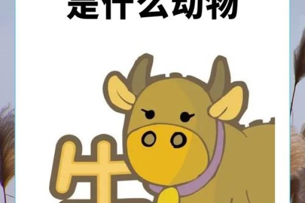 老老实实十二生肖指的是牛，勤劳踏实的象征-红迪亚