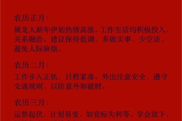 龙年运程详解，生肖龙的每月运势及全年展望建议，2025年属龙人全面解析，月运势与整体预测-红迪亚