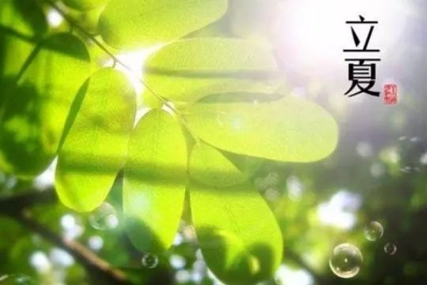 立夏节气时间揭晓，5月6日2点18分34秒迎来夏季开端-红迪亚