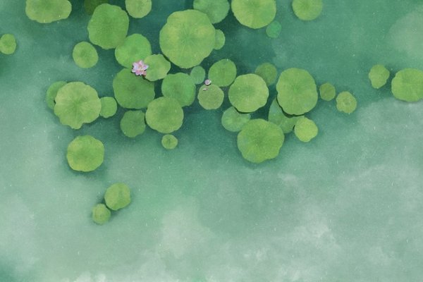 立夏节气时间，2024年5月5日8点9分51秒-红迪亚