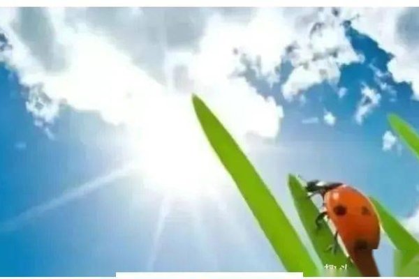 立秋时间揭晓,早知天气变化!,或者更简洁的题目如下,,立秋时刻详解-红迪亚