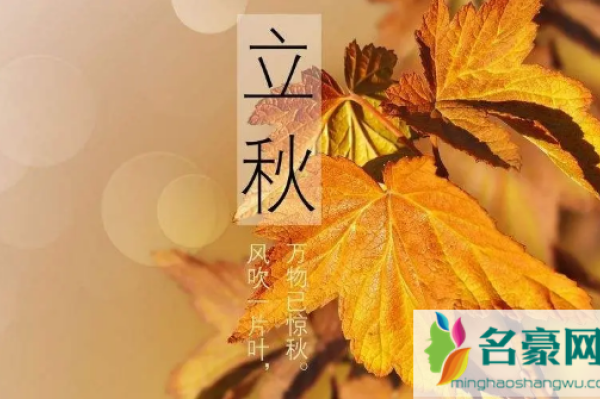 立秋时刻，2022年立秋准确时间揭晓-红迪亚