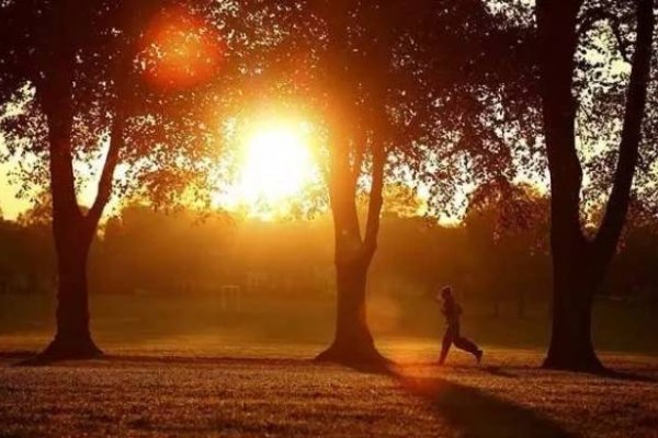 立秋时刻，探寻今年立秋时间的奥秘-红迪亚