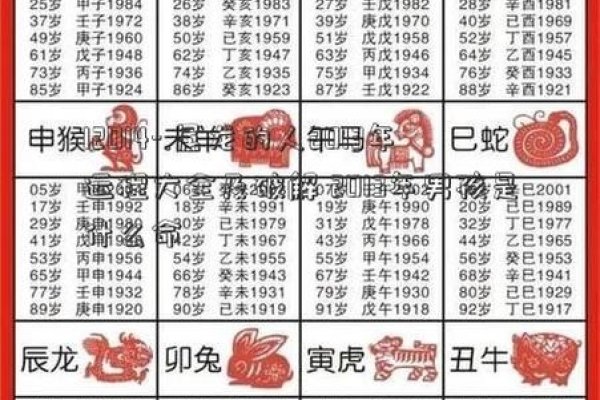 龙运程大全及破解2013年-红迪亚