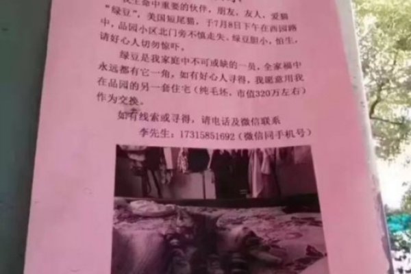 连云港征婚启事，彦涵美术馆旁寻找有缘人-红迪亚