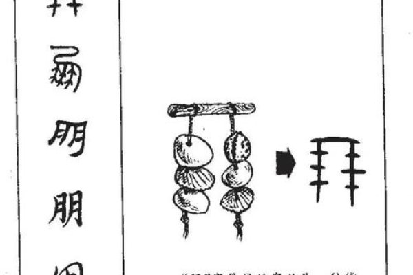 两字叠加探秘，朋字叠成、林从口吕，解析汉字结构，探索双字合成新字的奥秘。-红迪亚