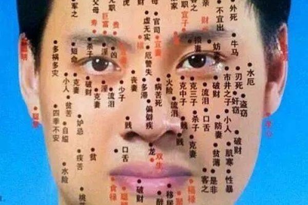 面部痣相图解，解析不同位置痣的吉凶寓意与命运关联-红迪亚