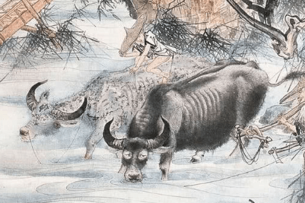 目不识丁与生肖牛的关联。-红迪亚