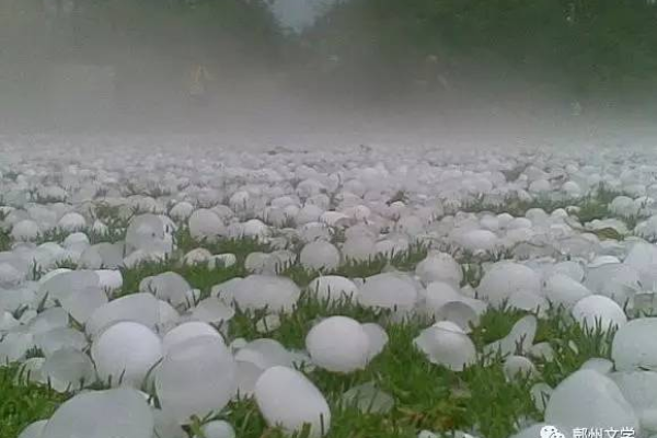 梦到下冰雹的寓意。-红迪亚