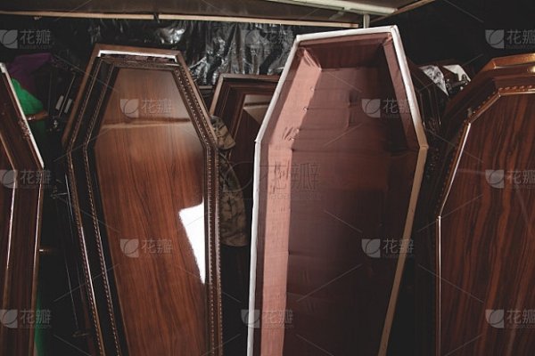 梦到棺材-红迪亚