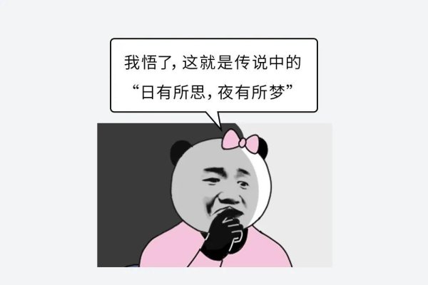 梦到一群狗，深层象征与吉凶解析-红迪亚
