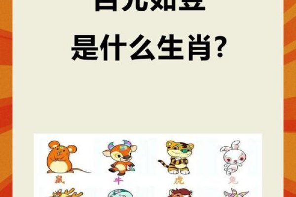 目光如豆指鼠生肖-红迪亚