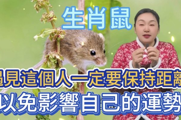 目光如豆对应生肖鼠。-红迪亚