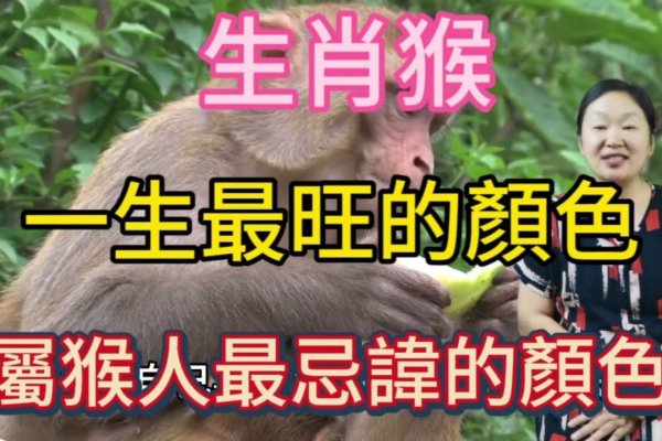 面黄肌瘦猜一生肖，猴。-红迪亚