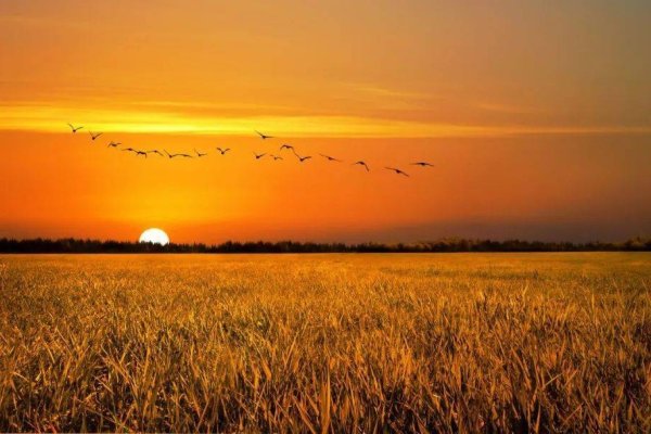 明湖晓月，生肖兔与龙的联想，数字解读为34或代表清澈湖水之景。-红迪亚