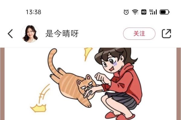 梦见被猫追的寓意解析与象征意义-红迪亚