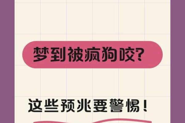 梦见被狗咬手，暗示焦虑与挑战，需警惕并应对困难。-红迪亚