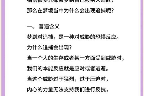 梦见被追赶的多种解析-红迪亚