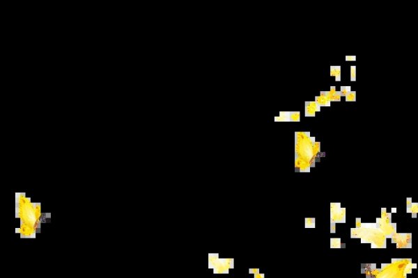 梦见白蝴蝶飞舞，预示幸福与喜悦。-红迪亚