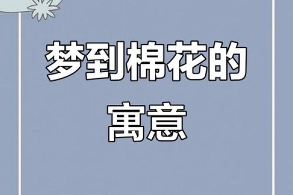 梦见穿棉袄的象征意义，财富增长、温暖与保护的预兆-红迪亚