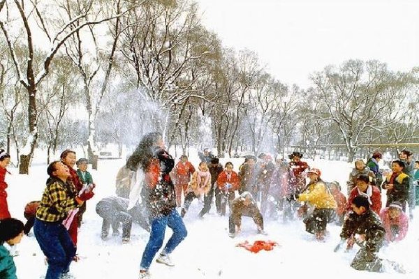 梦见打雪仗-红迪亚