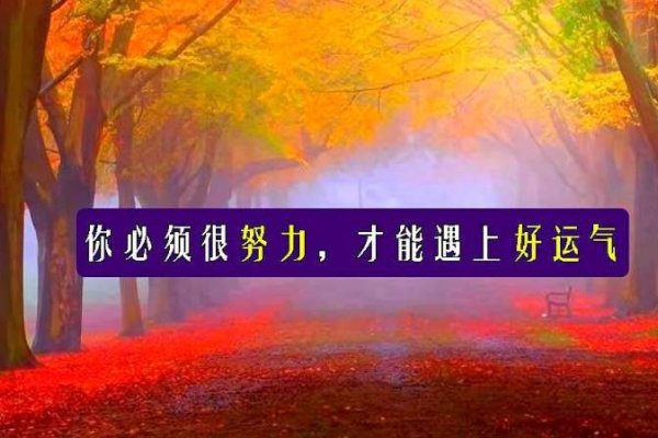 梦见翻车人安好，预示好运与克服困难的勇气。-红迪亚