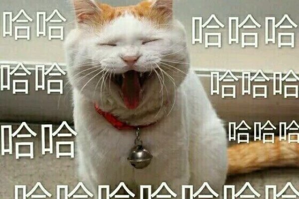 梦见哈哈大笑，预示工作成功、社交顺利，但需警惕争执与不幸。不同情境下有不同的解释。-红迪亚