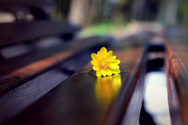 梦见好友去世，寓意情感牵挂与转变开启。-红迪亚