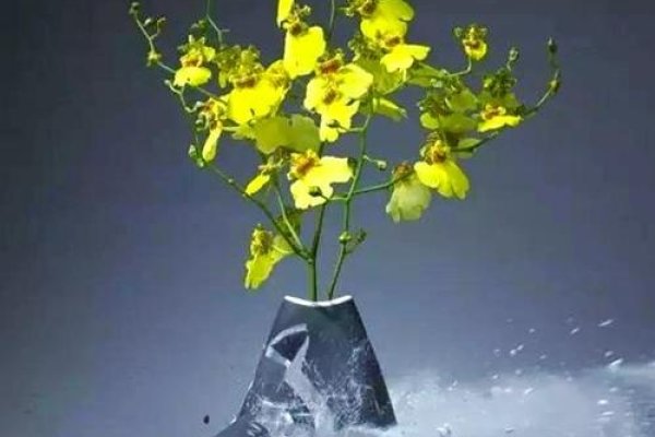 梦境解析，花瓶破碎的象征意义-红迪亚