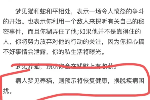 梦见老朋友的意义与解读，老朋友梦境预示详解，重逢梦中旧友的象征意义是什么？-红迪亚