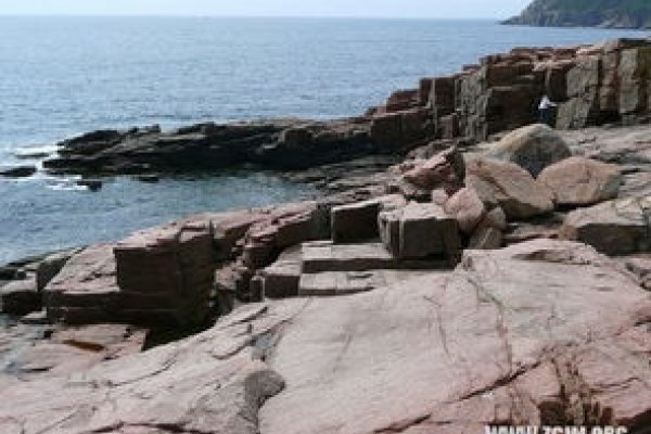 梦见拉屎预示财运与压力，解析不同梦境含义-红迪亚