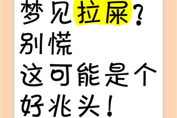 梦见拉屎，财富与压力的梦境预兆。-红迪亚