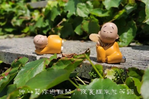 梦见失而复得，吉兆预示好运未来。-红迪亚