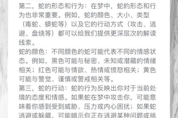 梦见三条蛇的寓意与解析-红迪亚