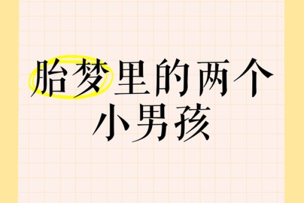 梦见双胞胎男孩，新生与希望的象征，预示吉祥和好运-红迪亚