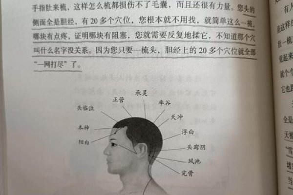 梦见他人梳头，预示好运与人际和谐。-红迪亚