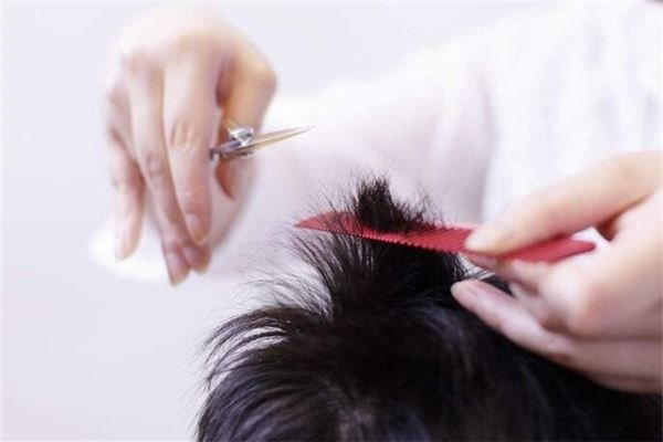 梦见剪发，预示新开始之兆。-红迪亚