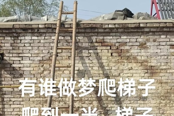 梦见爬楼梯爬上去了的预示-红迪亚