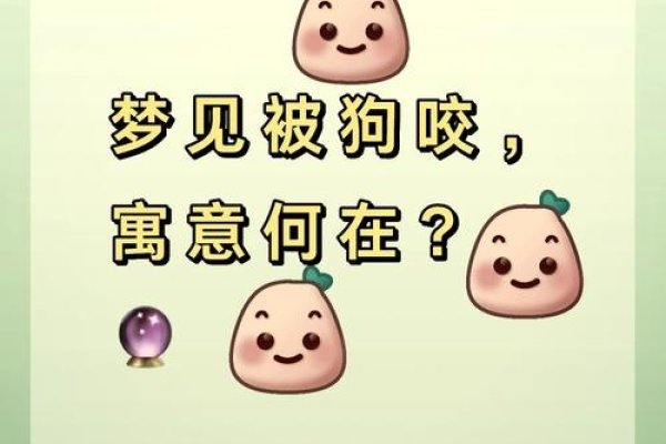 梦见狗咬人，寓意与挑战共存-红迪亚