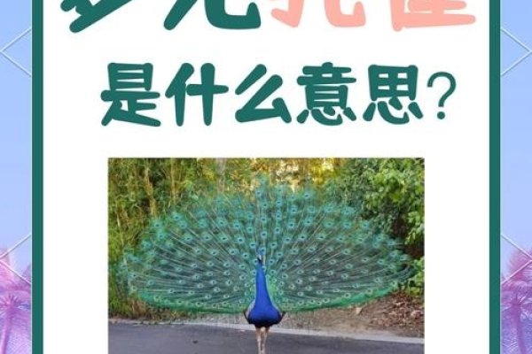 梦见孔雀开屏的预兆-红迪亚