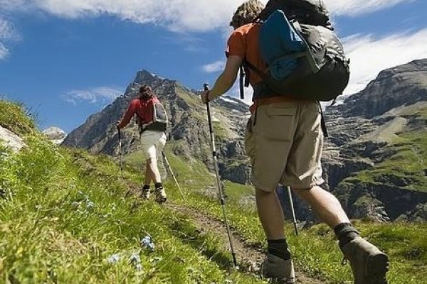 梦见爬坡-红迪亚