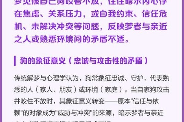 梦见狗咬住不放的寓意与解析，现实压力、人际困扰与健康警示，梦境反映出现实生活中的困难与挑战，暗示人际关系和健康方面需注意。-红迪亚