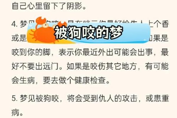 梦见狗咬我，解析梦境背后的多重象征意义与预示-红迪亚