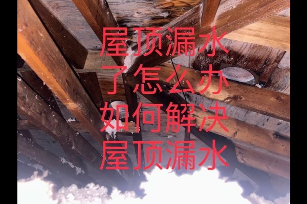 梦见屋顶漏水（梦见屋顶漏水是什么征兆周公解梦）-红迪亚